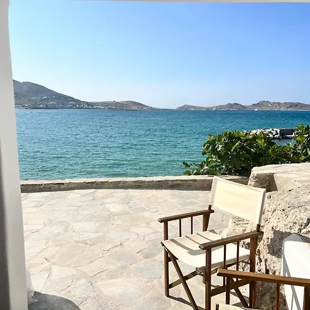 Daphne 3* 나오우사